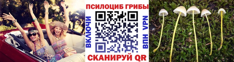 Галлюциногенные грибы MAGIC MUSHROOMS продажа наркотиков кракен ONION Урус-Мартан