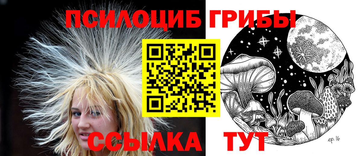 Урус-Мартан  Галлюциногенные грибы Magic Shrooms  Вход с VPN 